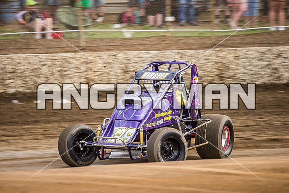 wingless 28 t28-4