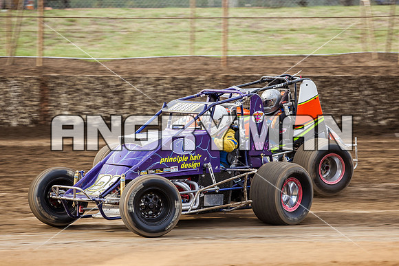 wingless 28 t28-7