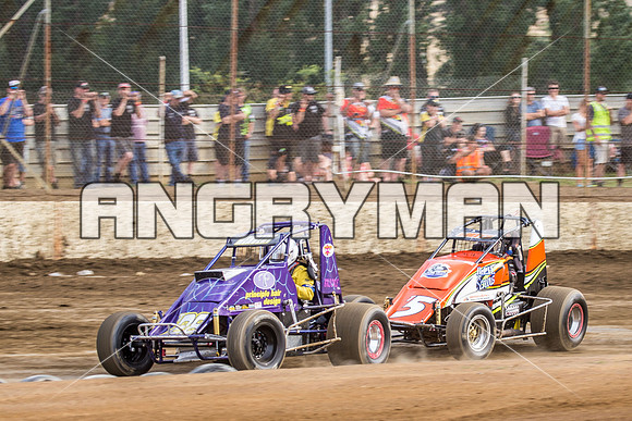 wingless 28 t28-11