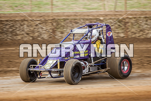 wingless 28 t28-12