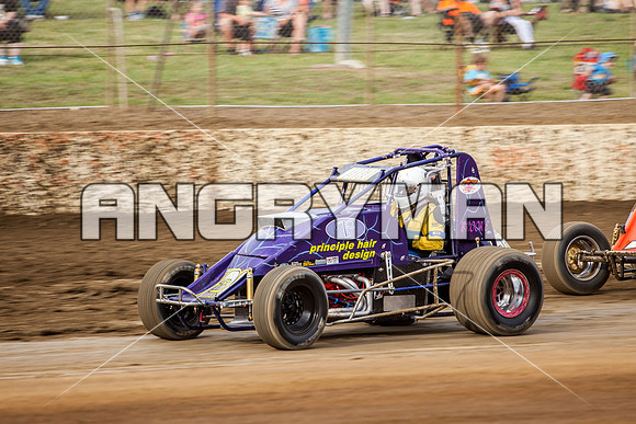 wingless 28 t28-14