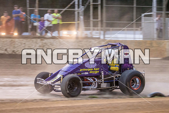 wingless 28 t28-15