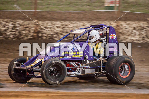 wingless 28 t28-17
