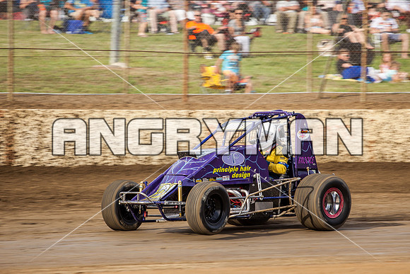 wingless 28 t28