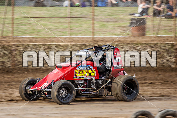 wingless 83 t83-2