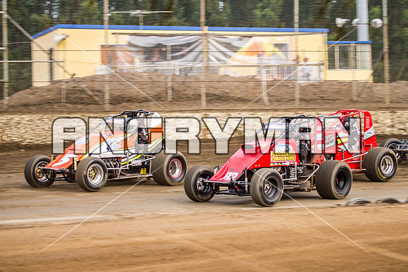 wingless 83 t83-3