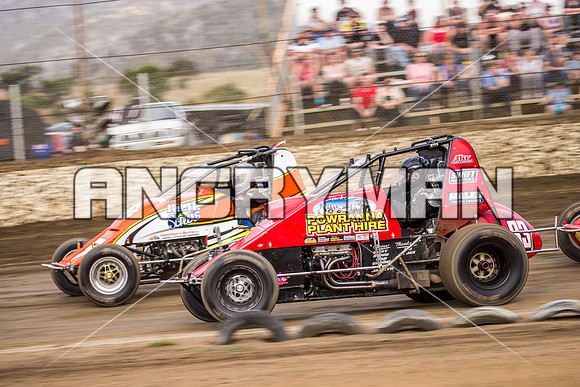 wingless 83 t83-4