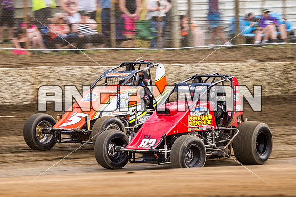 wingless 83 t83-5