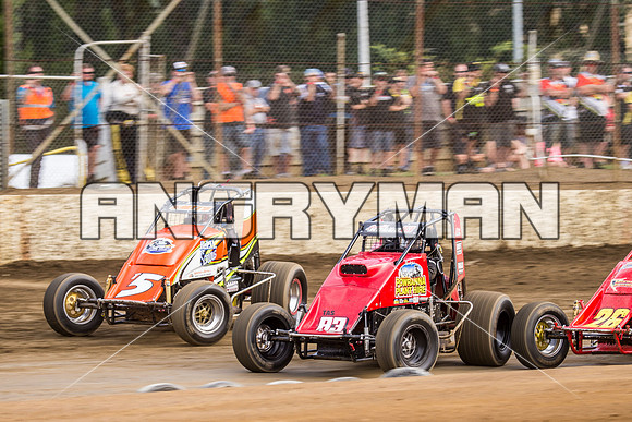 wingless 83 t83-6