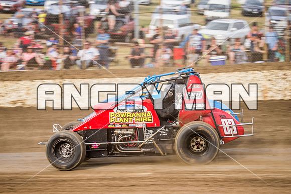 wingless 83 t83-9
