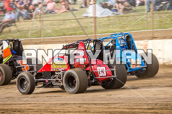 wingless 83 t83-10