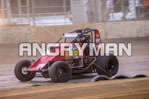 wingless 83 t83-11