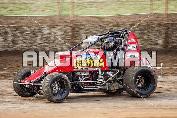 wingless 83 t83