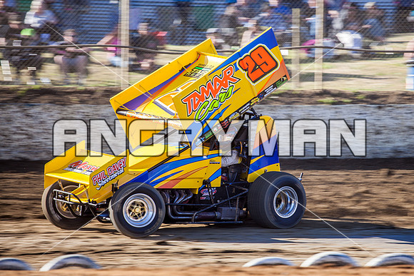 sprintcar 29 t29 robin dawkins-2