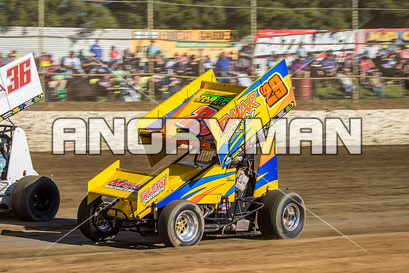 sprintcar 29 t29 robin dawkins-3