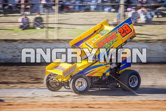 sprintcar 29 t29 robin dawkins-4
