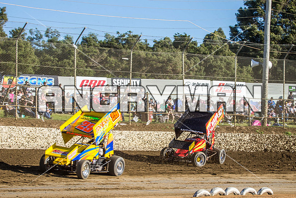 sprintcar 29 t29 robin dawkins-6