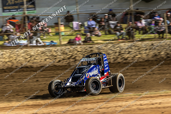 Wingless 5 T5 - 03 - Latrobe - 6th Dec 2025