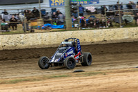 Wingless 5 T5 - 03 - Latrobe - 6th Dec 2025-3