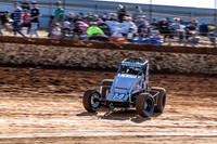 Wingless 14 T14 - 05 - Carrick - 26th Dec 2025-2