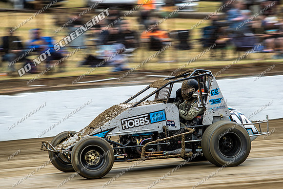 Wingless 14 T14 - 07 - Hobart - 3rd Jan 2026