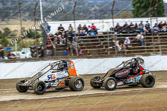 Wingless 15 T15 - 07 - Hobart - 3rd Jan 2026