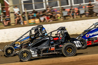 Wingless
