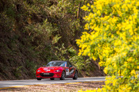 TL9 - TS6-Mt Buller 1-SG-3