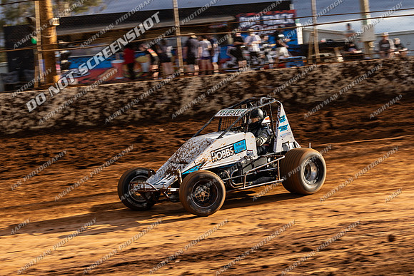 Wingless 14 T14 - 11 - Carrick - 7th Fab 2026-2