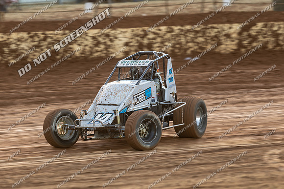 Wingless 14 T14 - 11 - Carrick - 7th Fab 2026-3