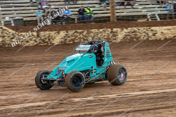 Wingless 37 T37 - 11 - Carrick - 7th Fab 2026-3