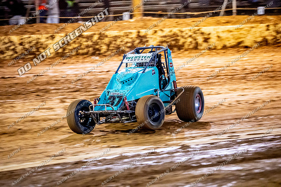 Wingless 37 T37 - 11 - Carrick - 7th Fab 2026-4
