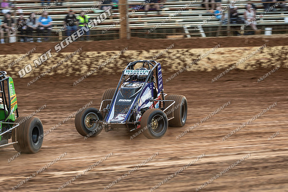 Wingless 5 T5 - 11 - Carrick - 7th Fab 2026-8