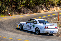 564 - SS1 - JL-2