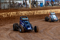 Wingless