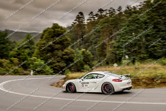 929 - TS10 The Sideling SG-2