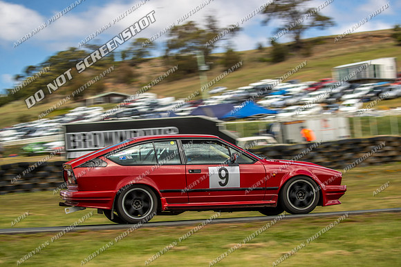 Regularity Sedans - 9 - Baskerville Historics 2024-7