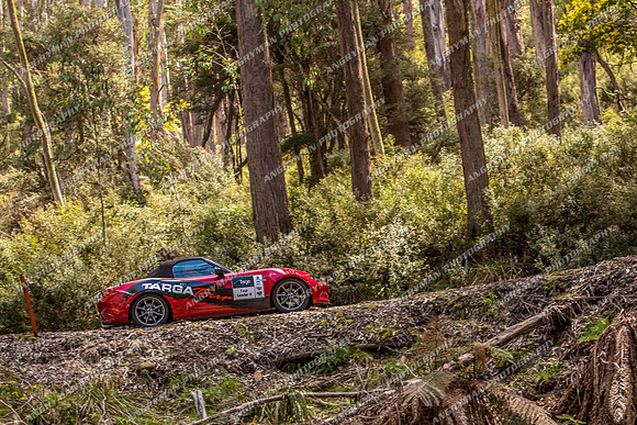 TL9 - TS6-Mt Buller 1-SG