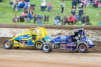 wingless 2 t2 bissett - 4 - Hobart 2nd Nov 2013-4