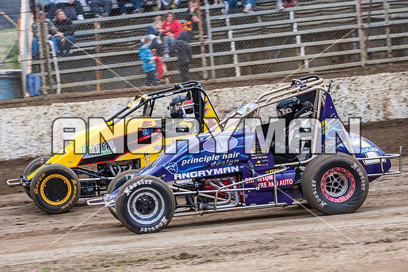 wingless 15 t15 brad herbert - 4 - Hobart 2nd Nov 2013-2