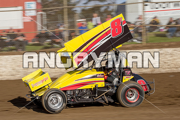 sprintcar 8 curt smith t8 - 5 - Latrobe - 16th Nov 2013-3