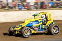 Wingless