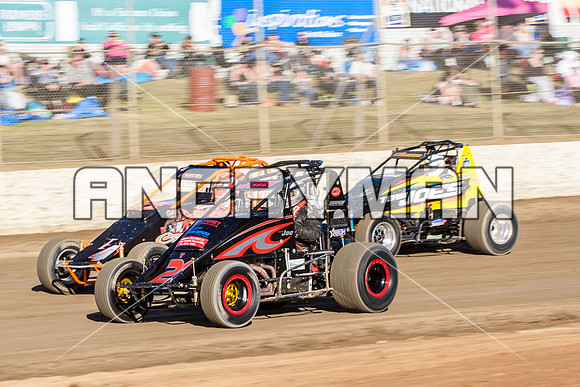 wingless 21 t21 - 7 - Latrobe - 7th Dec 2013-3
