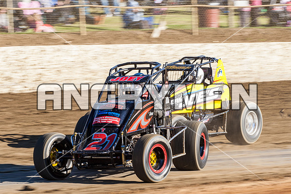 wingless 21 t21 - 7 - Latrobe - 7th Dec 2013-4