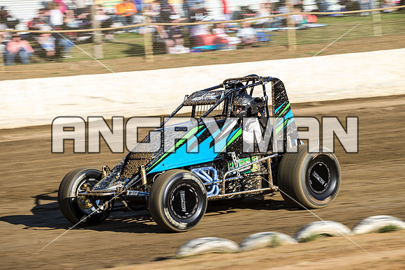 wingless 31 t31 peter griffiths - 3 - Latrobe - 24th Oct 2015-3
