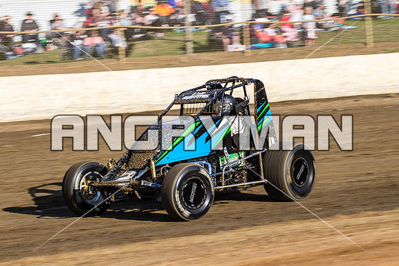wingless 31 t31 peter griffiths - 3 - Latrobe - 24th Oct 2015