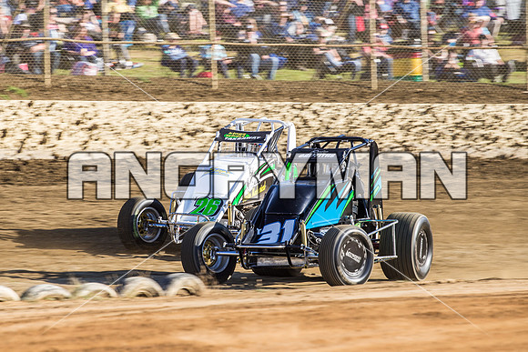 wingless 31 t31 Peter Griffin - 9 - Latrobe - 27th Dec 2015