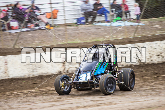 wingless 31 t31 Peter Griffin - 8 - Hobart - 12th Dec 2015-5