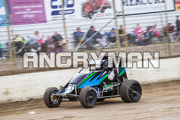 wingless 31 t31 Peter Griffin - 8 - Hobart - 12th Dec 2015-4