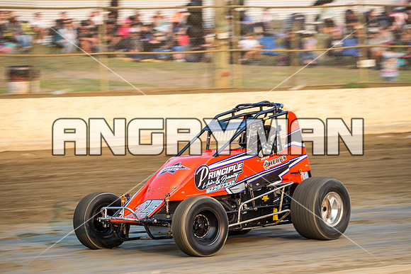 wingless 15 t15 brad herbert - 15 - Latrobe - 16th Jan 2016-2